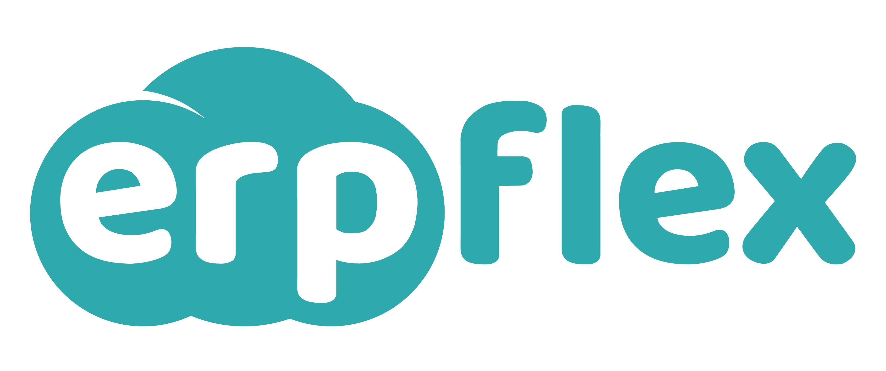 ERPflex